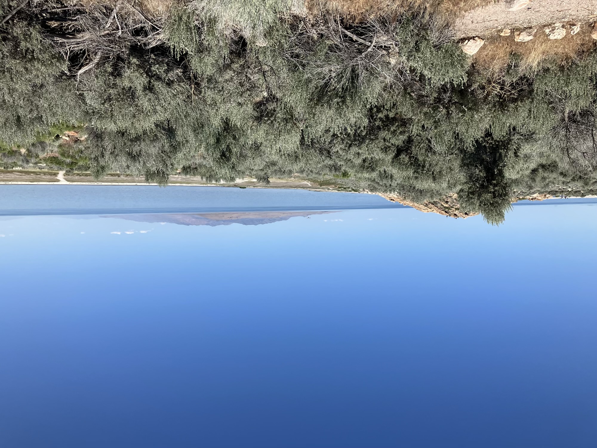 Antelope Island
