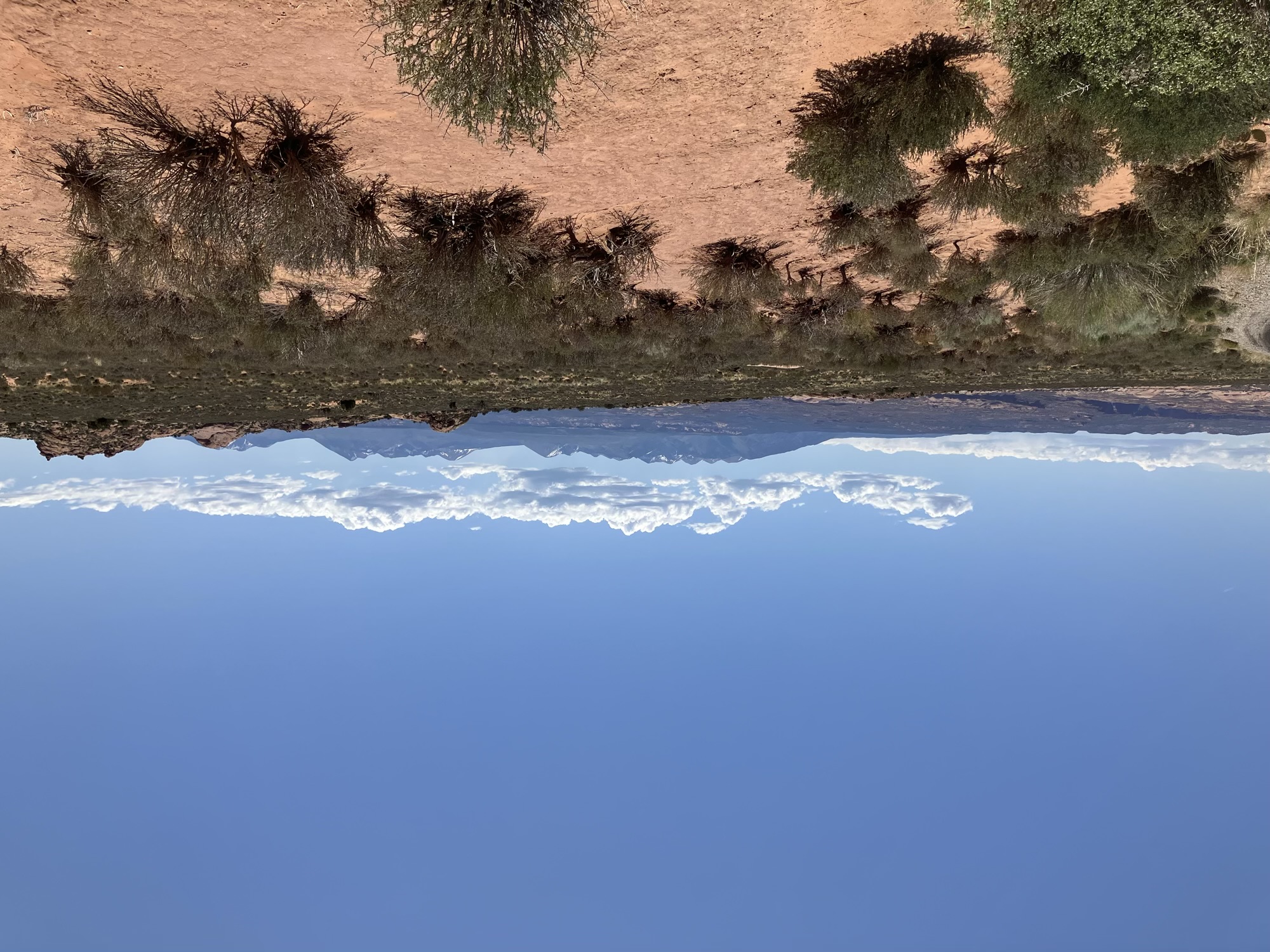 Arches National Park