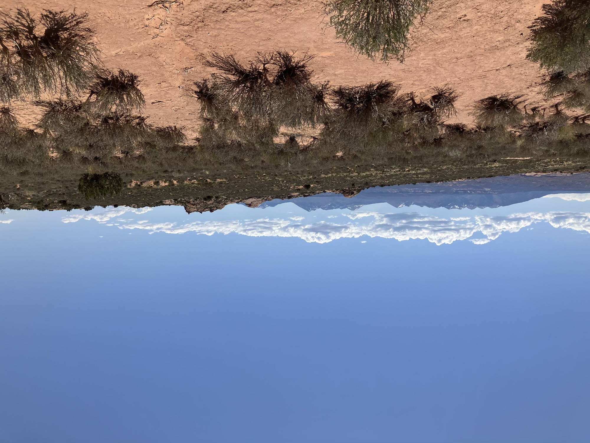 Arches National Park