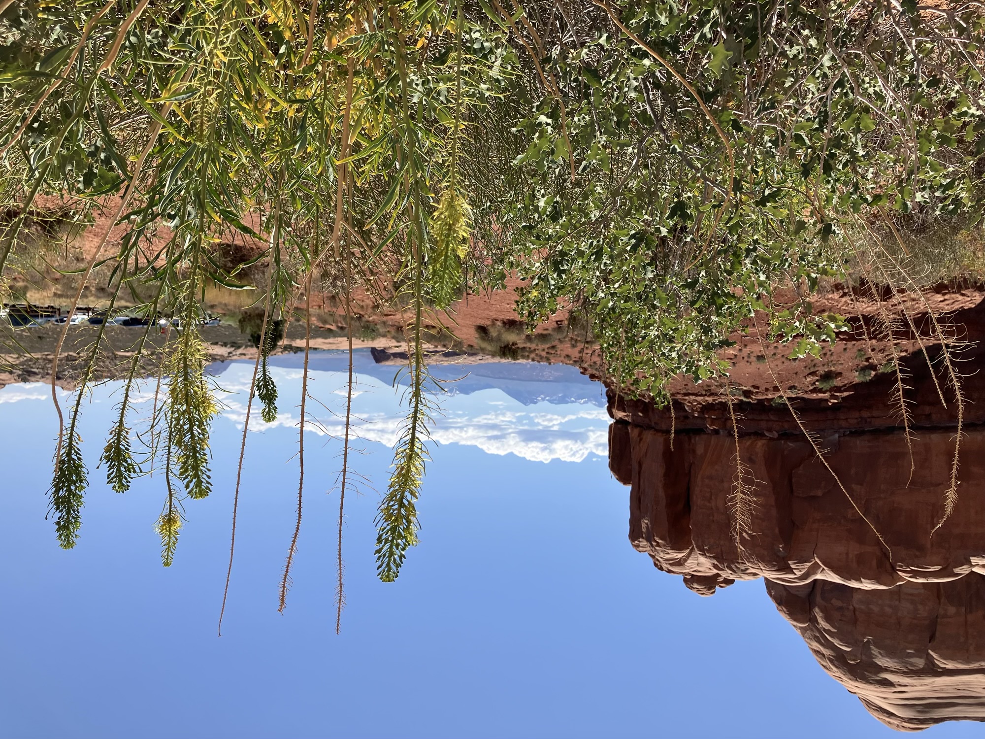 Arches National Park