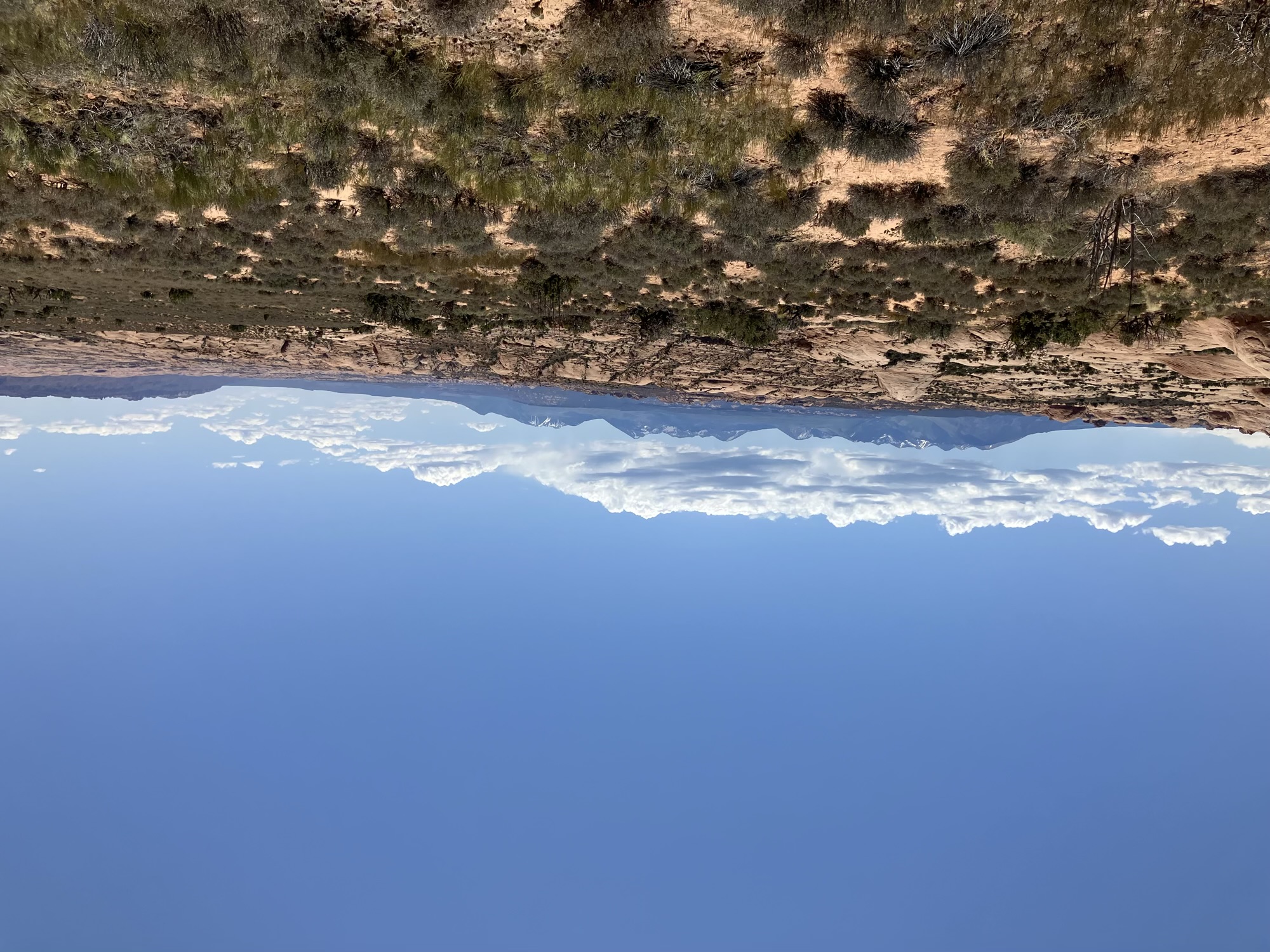 Arches National Park